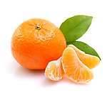健康資訊 - 橘子